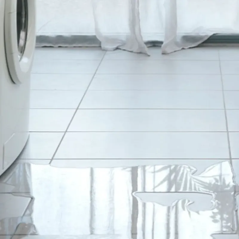 Appliance Leak Cleanup in Maugansville, MD
