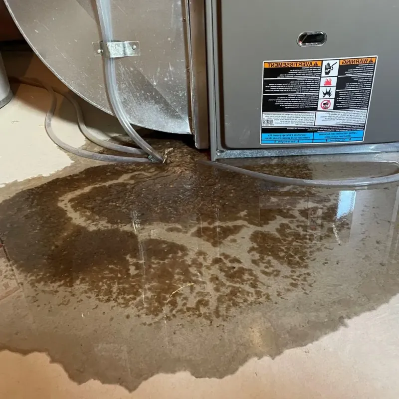 Pipe Burst and Leak Restoration in Maugansville, MD