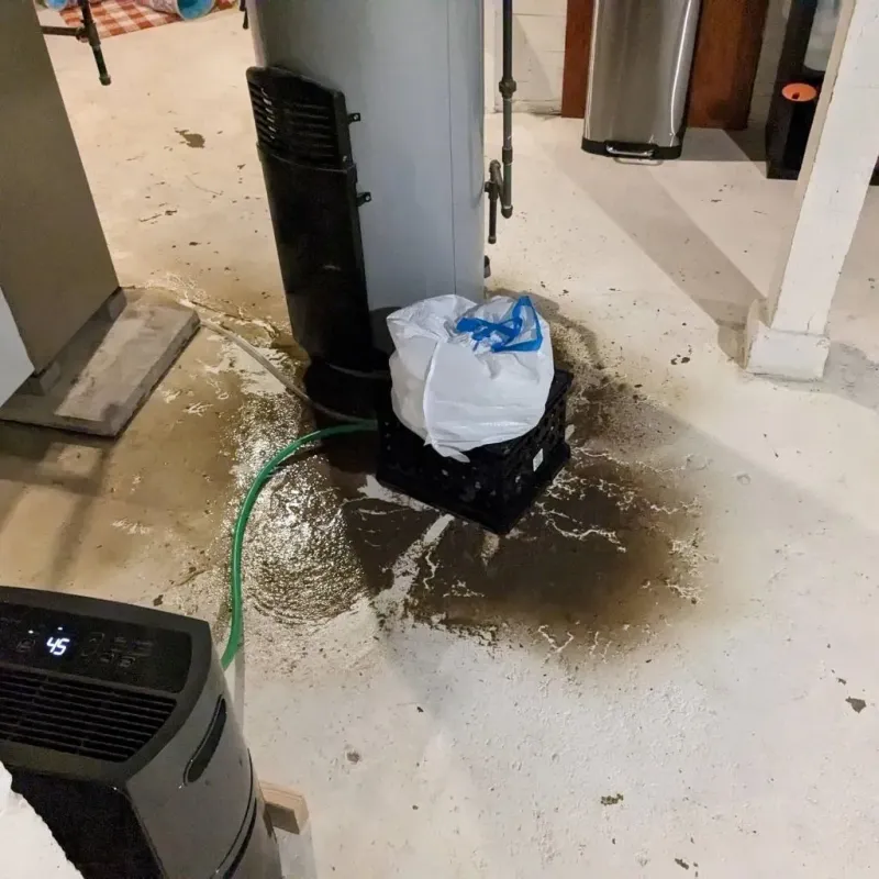 Sewage Backup Cleanup Service in Maugansville, MD